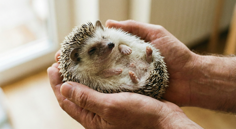 gemini generated image 9zav2z9zav2z9zav processed